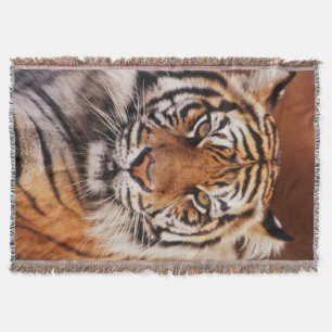 Couverture Tigre de Sumatra