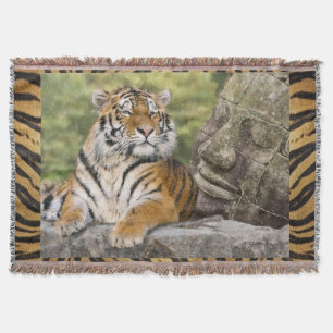 Couverture Tigre et Bouddah