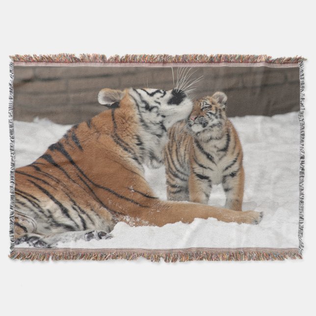 Couverture Tigre Et Cub (Devant)