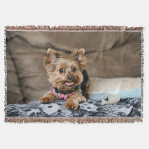 Couverture Tiny dynamo