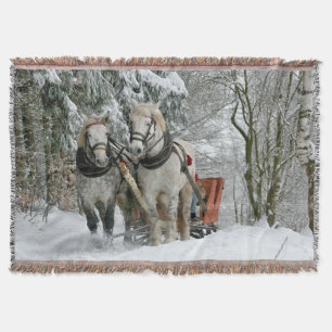 Couverture Tour de Sleigh au pays des merveilles d'hiver