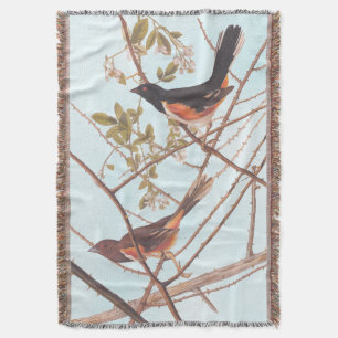 Couverture Towee Bunting Audubon Black and Orange Song Birds