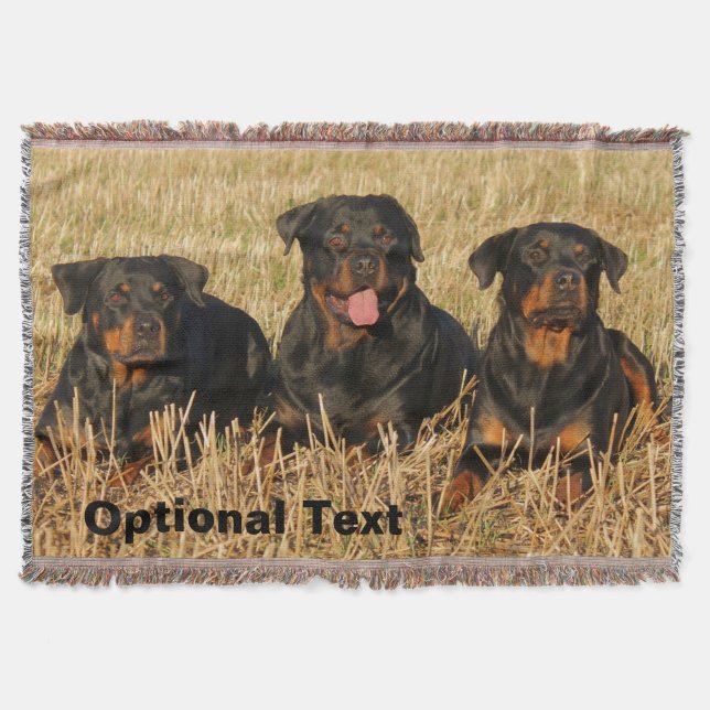 Couverture Trois chiens Rottweiler - Pack de Rotties (Devant)