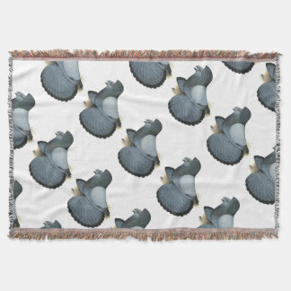 Couverture Trumpeter Pigeon Blue Barless