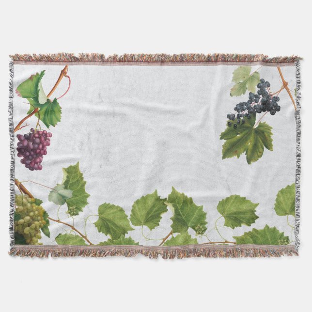Couverture Vignoble de raisins Ile grecque méditerranéenne (Devant)