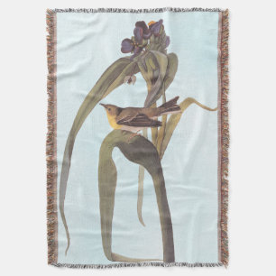 Couverture Vireo Songbird d'Audubon