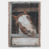 Votre photo de cheval Poney Cadeau équestre person