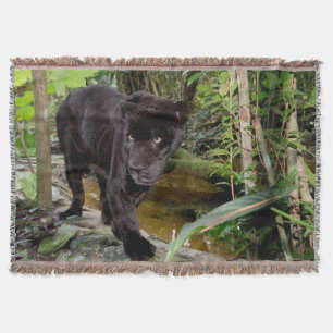 Couverture Zoo de la ville de Belize. Panthère noire