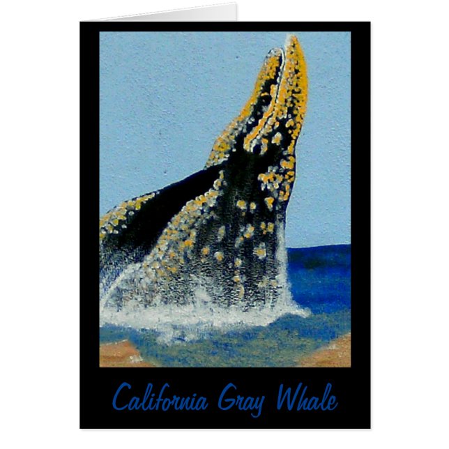 Couvertures Bubblepacific (Devant)