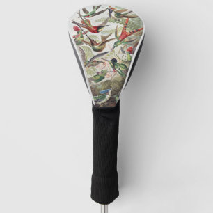 Couvre-club De Golf Affiche vintage colorée d'Ernst Haeckel sur les co