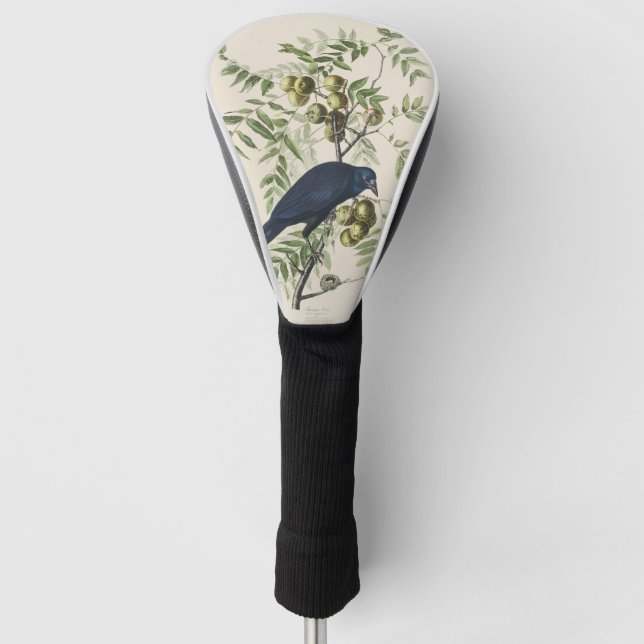 Couvre-club De Golf Audubon Black Crow American Bird Illustration (Devant)