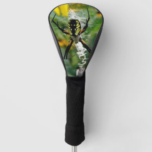 Couvre-club De Golf Awesome Photo Orb Spider dans le Web