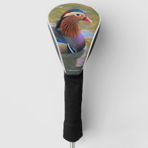 Couvre-club De Golf Beau canard Mandarin dans l'étang