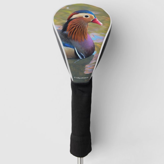 Couvre-club De Golf Beau canard Mandarin dans l'étang (Devant)
