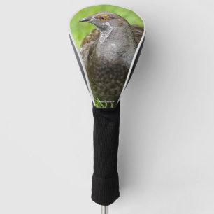 Couvre-club De Golf Beau Tétras de Sooty dans l'herbe