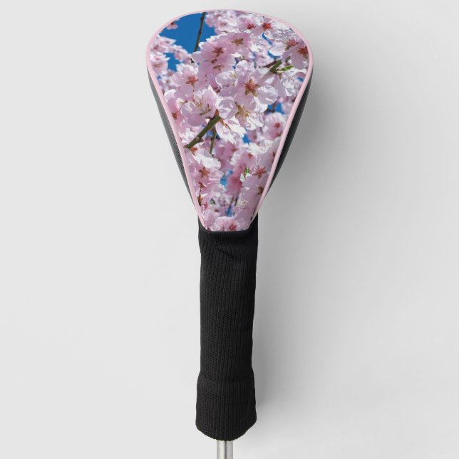 Couvre-club De Golf Belles fleurs de cerisiers de printemps (Devant)
