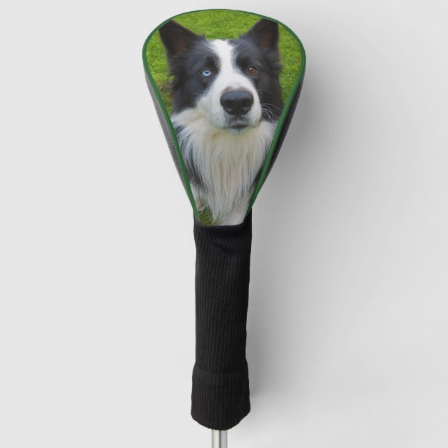 Couvre-club De Golf Bordure Collie (Devant)