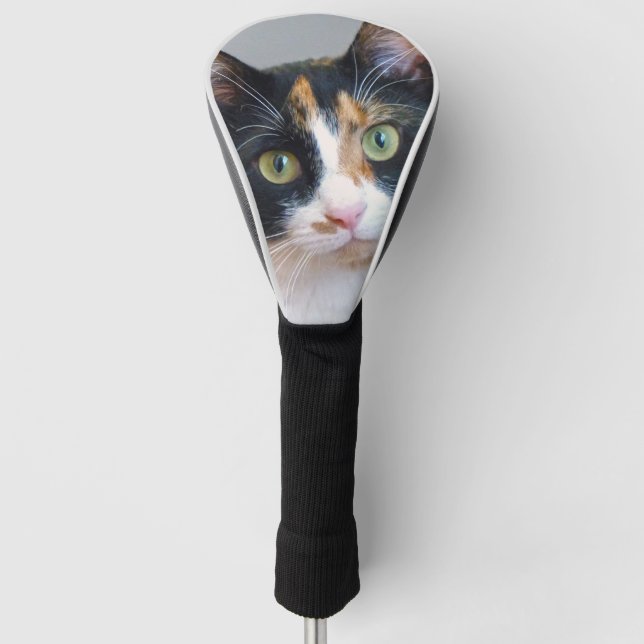 Couvre-club De Golf Calico Cat (Devant)