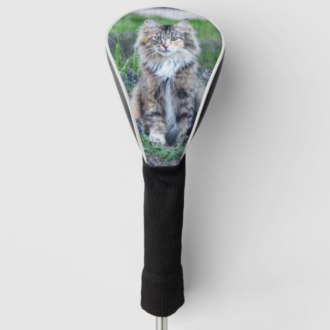 Couvre-club De Golf Calico Cat (Devant)