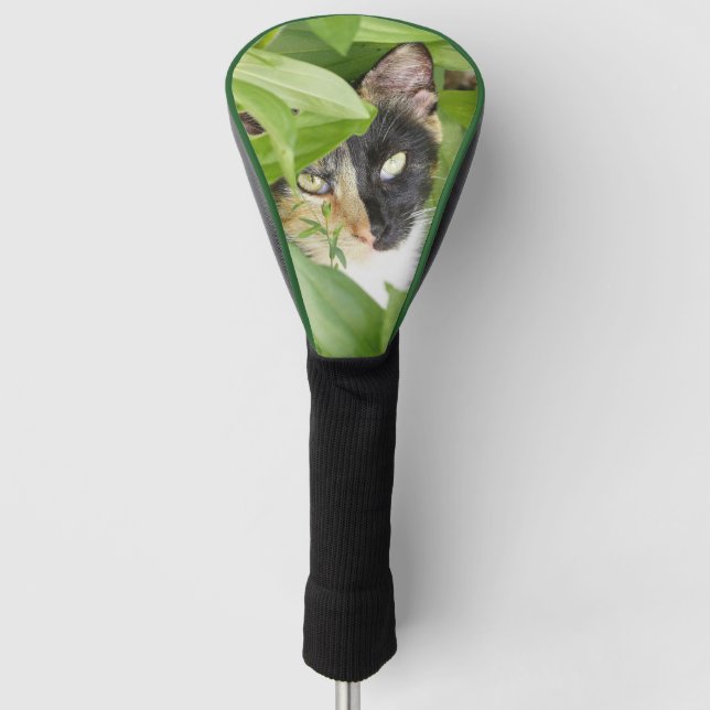 Couvre-club De Golf Calico Cat dans le Zinnias Golf (Devant)