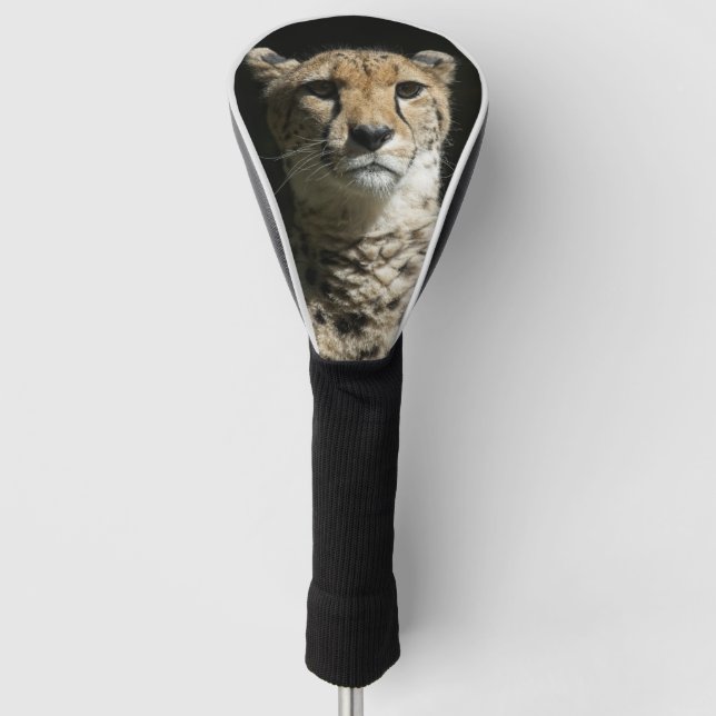 Couvre-club De Golf Cheetah (Devant)