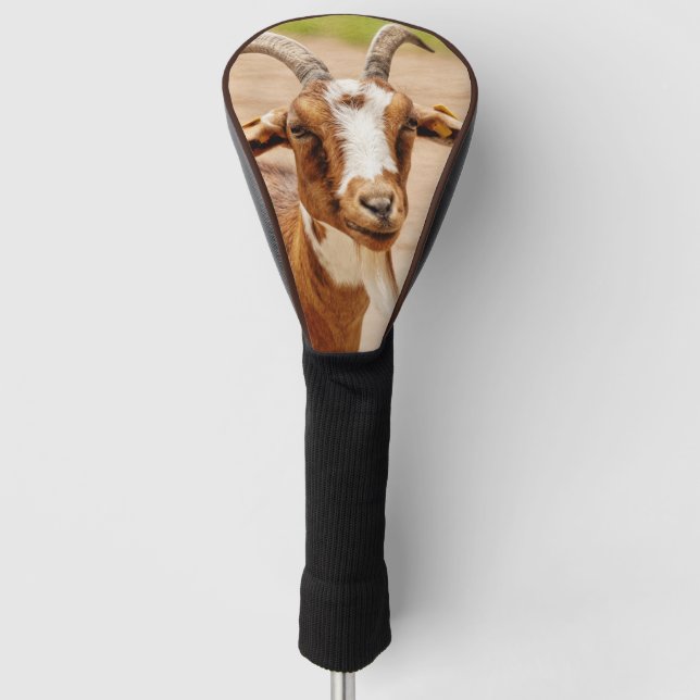 Couvre-club De Golf Chèvre Brown et chèvre blanche (Devant)