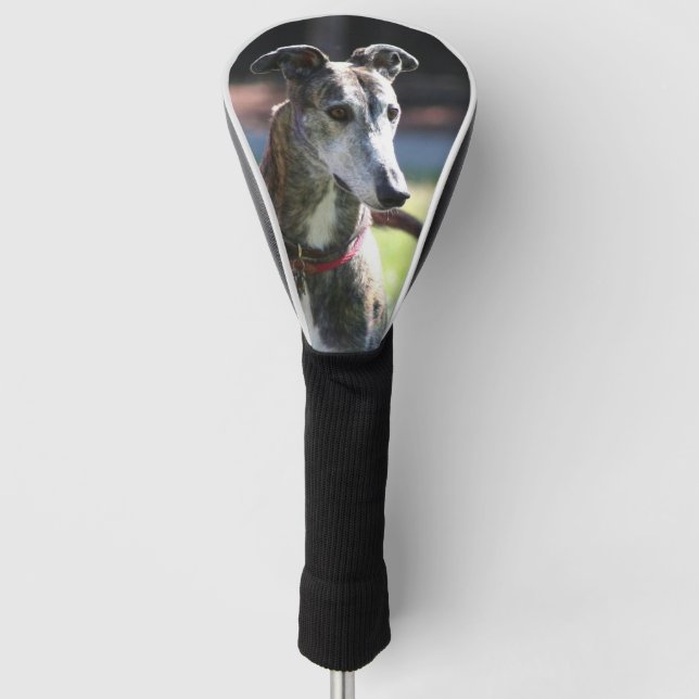 Couvre-club De Golf Chien de Greyhound (Devant)