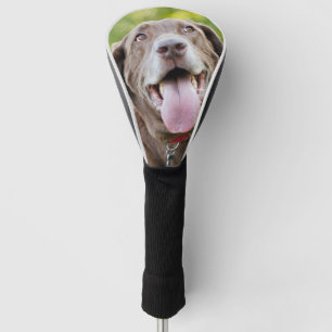 Couvre-club De Golf Chien de laboratoire de chocolat