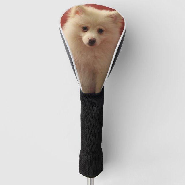 Couvre-club De Golf Chien de Poméranie mignon (Devant)