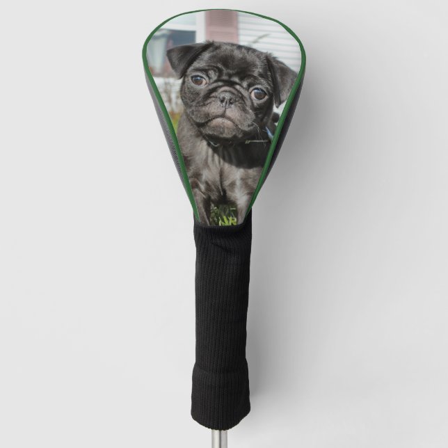 Couvre-club De Golf Chiot en Carlin noir (Devant)