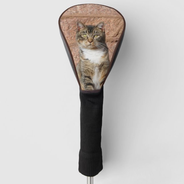 Couvre-club De Golf Church Cat (Devant)