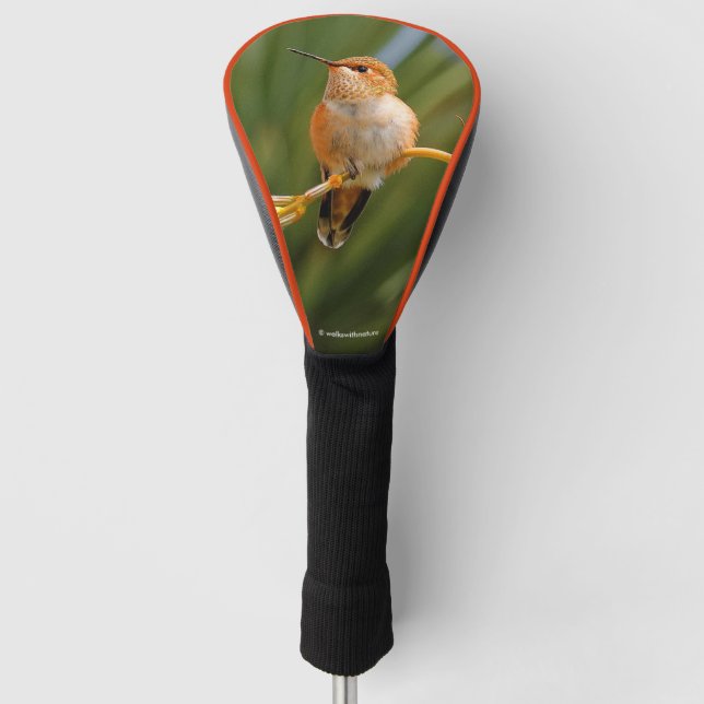 Couvre-club De Golf Colibri roux au repos (Devant)