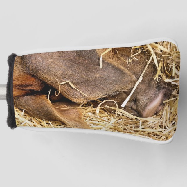 COUVRE-CLUB DE GOLF COUPER (Devant)