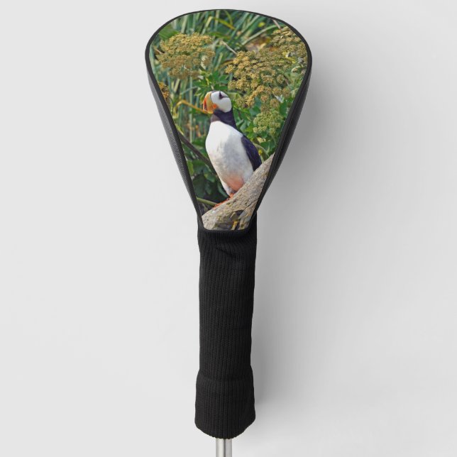 Couvre-club De Golf Couvercle de tête de golf Puffin (Devant)