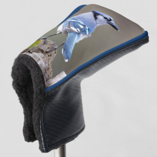 Couvre-club De Golf Cute Bleu Jay Songbird sur Treestump