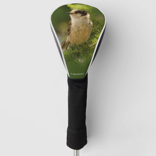 Couvre-club De Golf Cute gris du Canada / Grey Jay / Whiskeyjack (Devant)