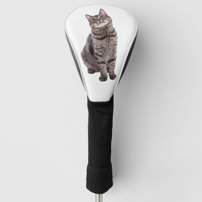 Couvre-club De Golf Cute tabby Chat (Devant)