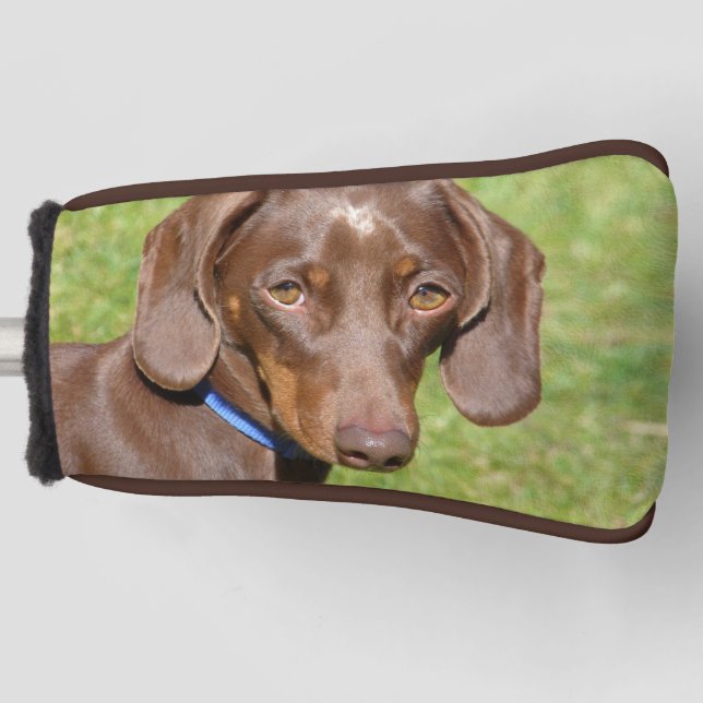 Couvre-club De Golf Dachshund (Devant)