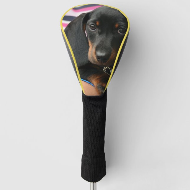 Couvre-club De Golf dachshund-chiot mignon (Devant)