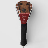 Dachshund Rouge