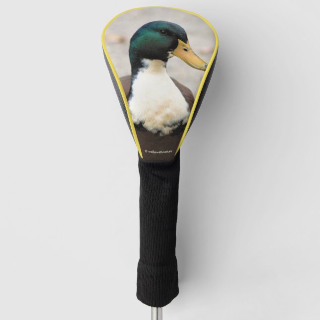 Couvre-club De Golf Domicile Mallard Duclair Bibbed Odd Duck (Devant)