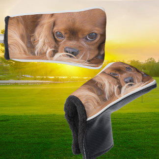 Couvre-club De Golf Douce Ruby Cavalier King Charles Spaniel