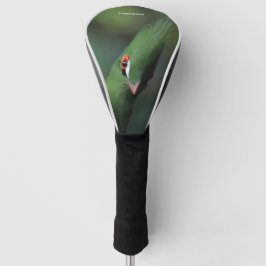 Couvre-club De Golf Drôle Curieux Guinée Turaco Oiseau Vert