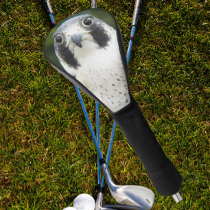 Couvre-club De Golf Faucon pèlerin Oiseau de proie Photo