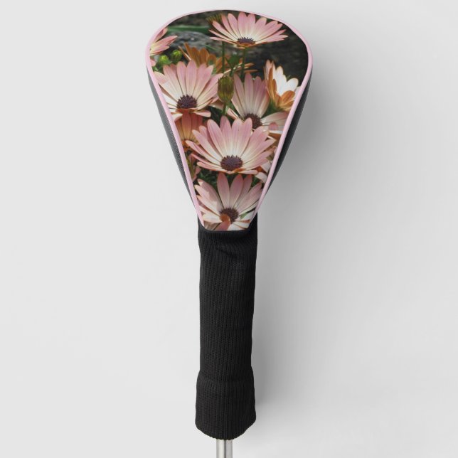 Couvre-club De Golf Fleurs marguerites africaines roses (Devant)