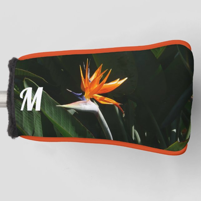Couvre-club De Golf Flower tropical orange paradise (Devant)