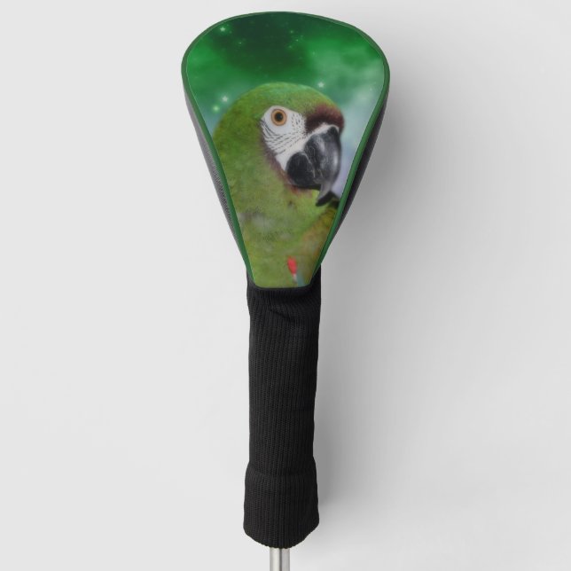 Couvre-club De Golf Green Severe Macaw Parrot Oiseau Art   (Devant)