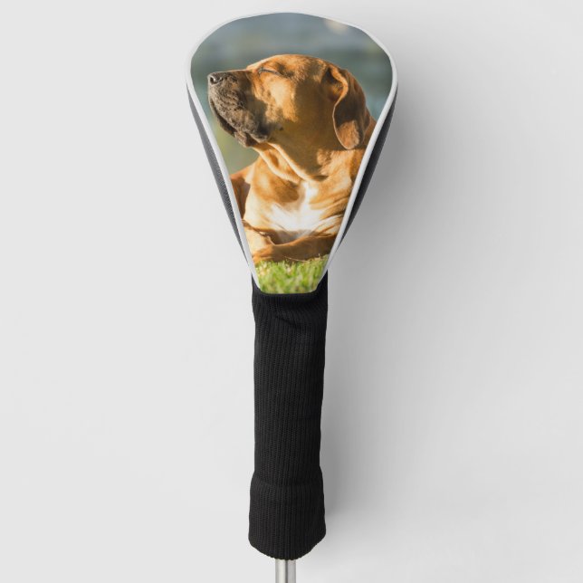 Couvre-club De Golf Housse de tête de golf Boerboel (Devant)
