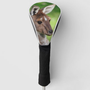 Couvre-club De Golf Joli Petit Kangourou