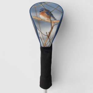 Couvre-club De Golf La nature des oiseaux bleus d'hiver